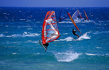 Sailboarder during jump in the surge, Costa de la Luz, Cadiz province, Andalusia, Spain, Europe