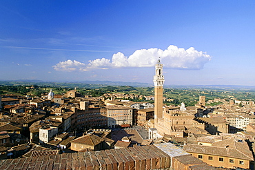 Townscape with Piazza del Campo, Torre del Mangia and Palazzo Pubblico, Siena, Tuscany, Italy