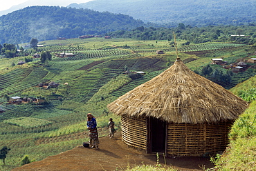 Cabin, view over fields, african village Djombe, Virunga Mountains, Zaire, Africa