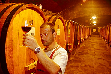 Badia a Coltibuono, vine cellar, Gaiole, Chianti, Tuscany, Italy