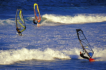 Windsurfer, Pozo Izquierdo, Gran Canaria, Canary Islands, Spain