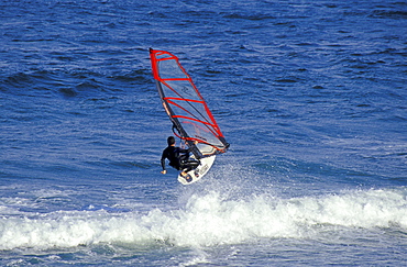 Windsurfer, Pozo Izquierdo, Gran Canaria, Canary Islands, Spain