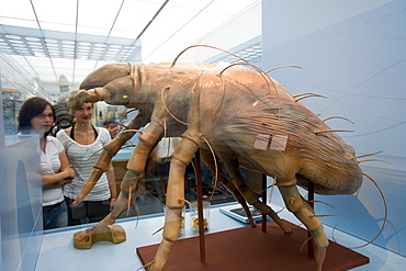 Das Deutsche Hygiene Museum, DHMD, Room 2 Living and Dying, large scale exhibit of a dust mite, Dresden, Saxony, Germany, Europe