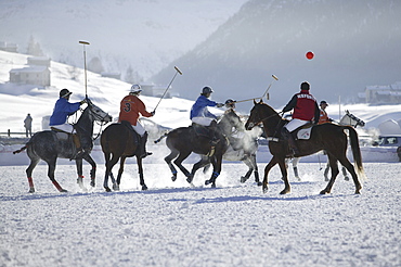 Playing polo in the snow, International tournament in Livigno, Italy