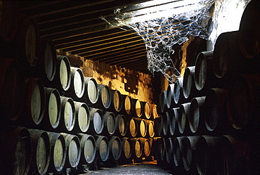 Sherry barrels in a store room, Bodegas Domecq, Jerez de la Frontera, Provinz Cadiz, Andalusia, Spain, Europe