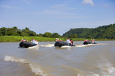 MS Europa Zodiac Expedition on a sidearm of the Amazon River, Boca da Valeria, Amazonas, Brazil, South America