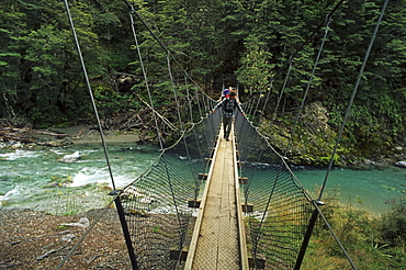 Hiker on ropebridge crossing a river, Routeburn Track, Mount Aspiring National Park, New Zealand, Oceania