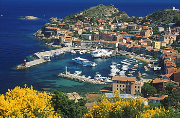 Harbour of Giglio, Giglio Island, Tuscany, Italy