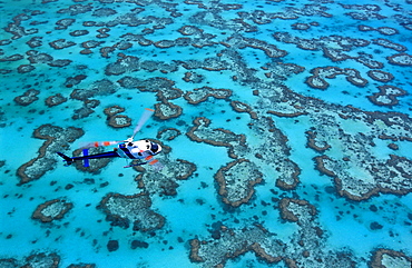 Helicopter over reef, Heron Island, Great Barrier Reef, Queensland, Australia