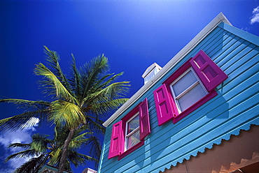 Colourful house and palm tree under blue sky, PusserÂ¥s Landing, West End, Tortola, British Virgin Islands, Caribbean, America