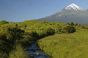 View of dormant volcano Mount Taranaki at Egmont National Park, North Island, New Zealand, Oceania