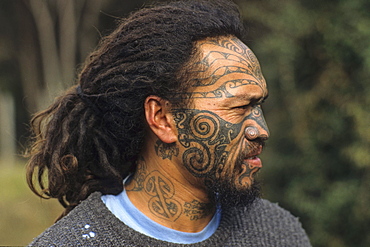 Portrait of a Maori man with moko face tattoo, North Island, New Zealand, Oceania