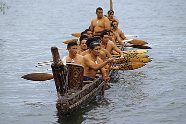 Maoris canoeing, Waka taua (war canoe), Waitangi Day, 6 February, Treaty between Maori and British Empire, New Zealand