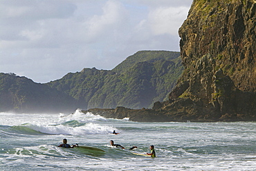 Piha Beach and Lion Rock, west coast near Auckland, New Zealand