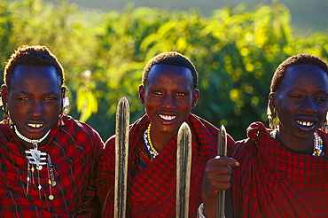 Three Masai Tribesmen, Tanzania, Africa