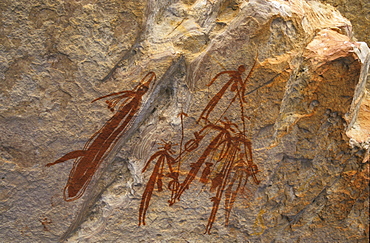 Aboriginal art site Arnhemland, Aboriginal guided tour, Oenpelli, Arnhemland, Northern Territory, Australia