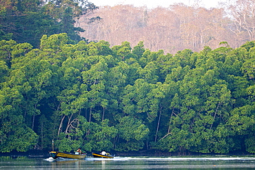 Fishing boats in mangroves, Austin Strait, Andaman, India