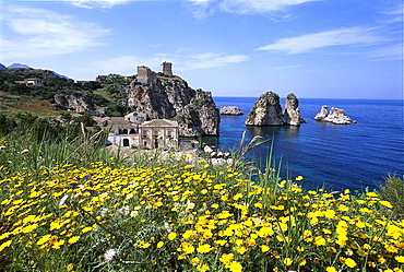 Yellow flowers and country house on the waterfront, Scopello, Sicily, Italy, Europe