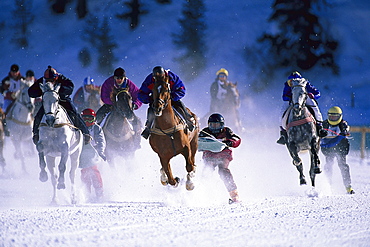 White Turf Skijoring, St. Moritz, Engadin, Grisons, Switzerland