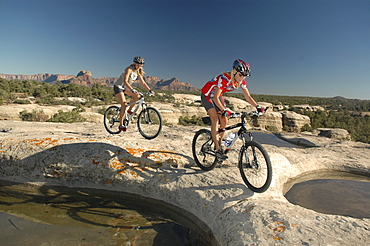 Mountainbiker, Gooseberry Trail, Zion Nationalpark, Springdale, Utah, USA