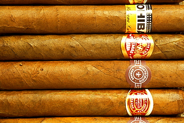 Cuban cigars, Cuba, Caribbean, America