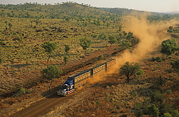 aerial view of cattle truck on dirt road, Kimberley, Western Australia, Australia