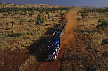 Aerial view, Cattle truck on dirt road in the Kimberleys, desert and savannah, Kimberley, Western Australia, Australia