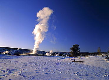 Geyser Old Faithful in winter, Yellowstone National Park, Wyoming, USA, America