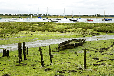 Abandoned boat wreck near Bosham, West Sussex, England, Europe