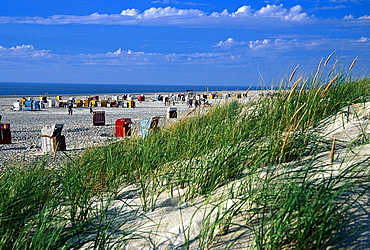 Beach with beach chairs, Northern village, Amrum, North Frisian Islands, Northern Frisia, Schleswig-Holstein, Germany