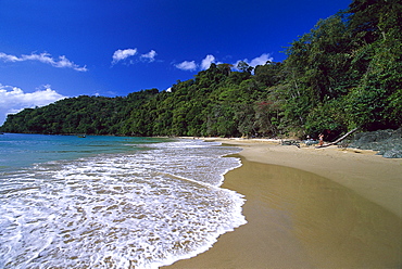 Sandy beach, PirateÂ¥s Bay, near Charlotteville, Tobago, West Indies, Caribbean