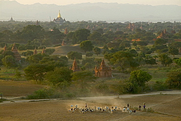 Sunset over the temples of Bagan, Myanmar