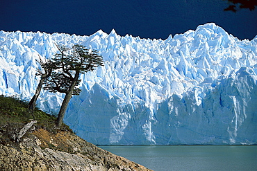 Perito Moreno Glacier, Lago Argentino, Los Glaciares National Park, Argentina