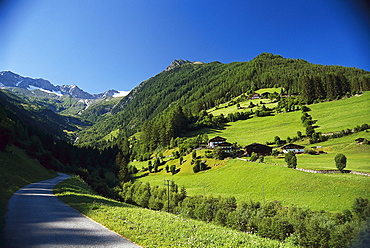 Green meadows at valley Tauferer Ahrntal under blue sky, Puster valley, South Tyrol, Italy, Europe