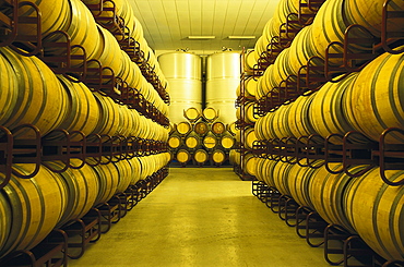 Storage room for wine barrels, Bodega Ochoa, Navarra, Spain, Europe