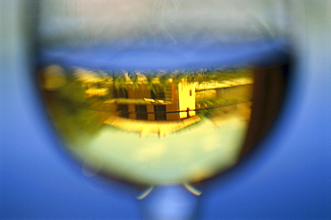 Reflection in a wine glass, Bodega Chivite, Navarra, Spain, Europe