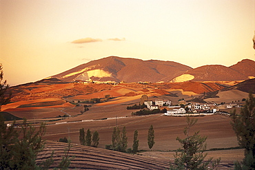 Landscape near Bodega Nekeas, Navarra, Spain