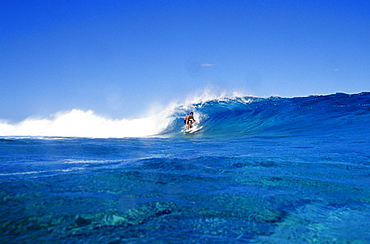 Surfer riding a wave, Teahupoo, Punaauia, French Polynesia, South Pacific