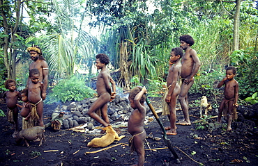 Village life, Earth oven, Yakel Village, Tanna, Vanuatu, South Pacific