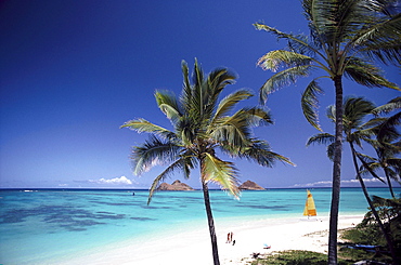 Lanikai Beach, Oahu, Hawaii, USA