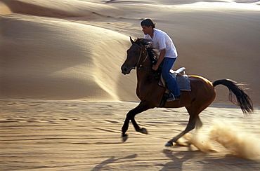 Young man riding a horse at the desert, Sultanat Oman, Middle East, Asia