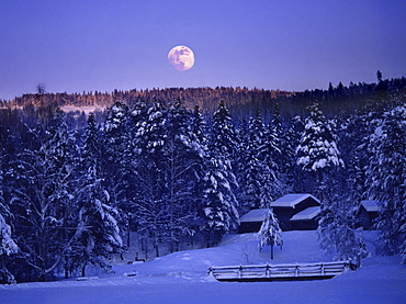 Moonrise above snow covered forest, Maihaugen, Lillehammer, Norway, Scandinavia, Europe