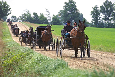 Coaches of Mennoniten, came from Worshirp, near St. Jacobs, Ontario, Canada, North America, America