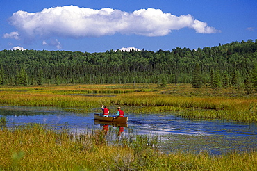 Canoeing at Opeongo River, Algonquin Provincial Park, Ontario, Canada, North America, America