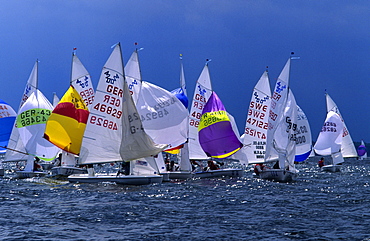 Sailing boats on the sea, Kiel week, Kiel, Schleswig Holstein, Germany, Europe