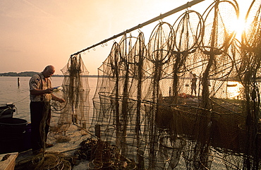 Fisherman repairing his fishing nets at harbour in the evening, Schleswig, Schleswig Holstein, Germany, Europe