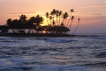 Sunset Silhouette, The Fairmont Orchid Hotel, Kohala Coast, Big Island Hawaii, Hawaii, USA