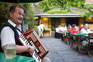 Man playing Schrammelmusik with his accordion in the Heuriger Mayer am Pfarrplatz, Heiligenstadt, Vienna, Austria