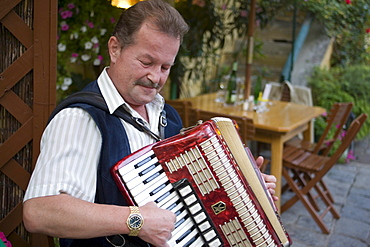 Man playing Schrammelmusik with his accordion in the Heuriger Mayer am Pfarrplatz, Heiligenstadt, Vienna, Austria