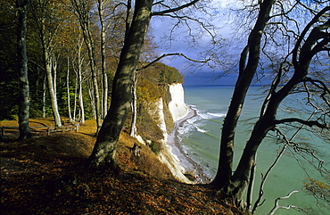 Europe, Germany, Mecklenburg-Western Pommerania, Ruegen, chalk cliffs at Jasmund National Park